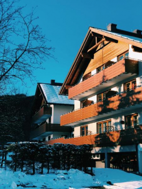 Dachstein view ski apartment